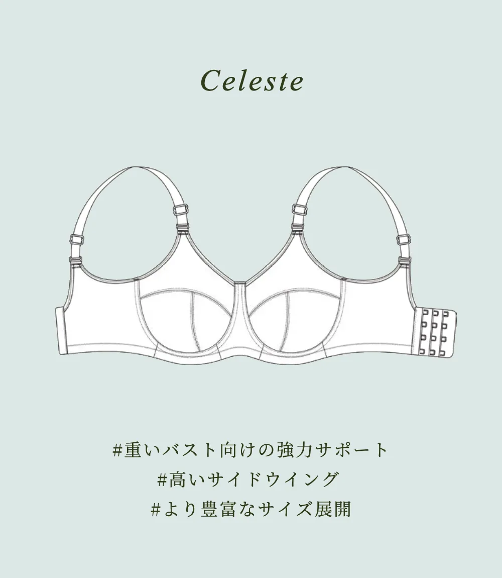 グラマーサイズ専用ブラ