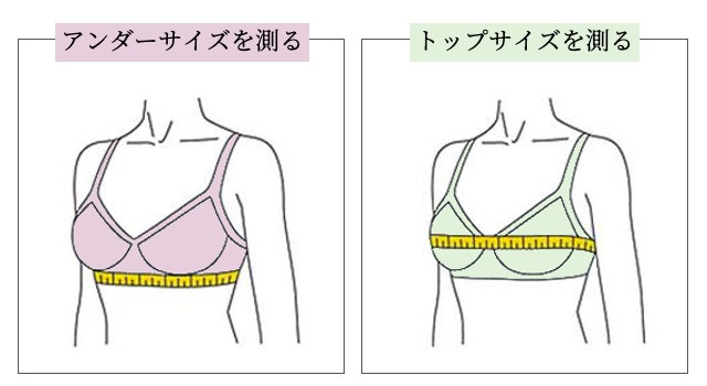 ブラの測定方法